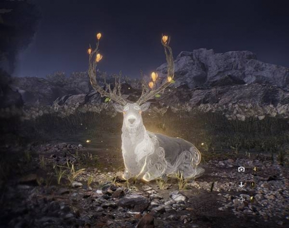 ����3ȫ�ػ�����ô����