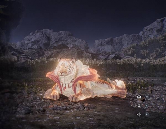 ����3ȫ�ػ�����ô����