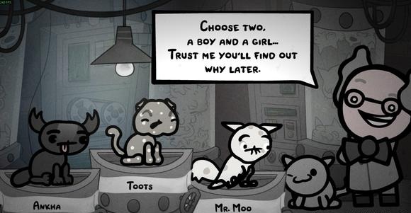 �����Ľ������Щ�ʵ�