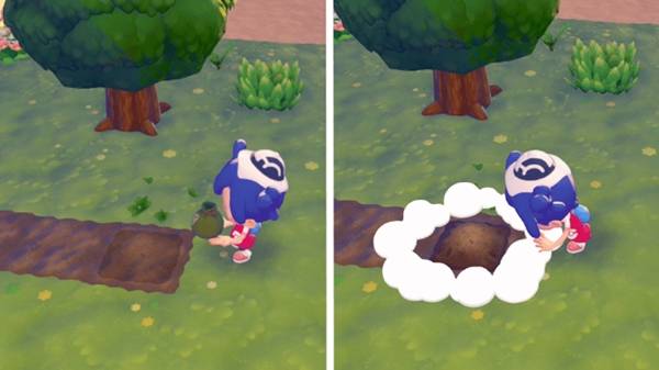 ������Pokopia������ô��