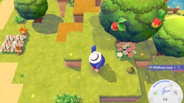 ������Pokopia������ô��