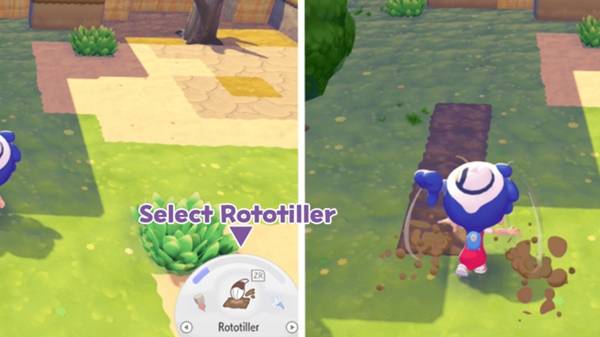 ������Pokopia������ô��