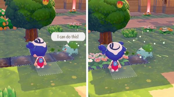 ������Pokopia������ô��