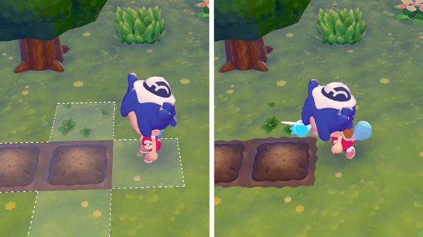 ������Pokopia������ô��