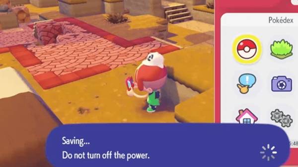 ������Pokopiaʱ��������ô��