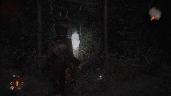 �������ư�������֧��������ô��