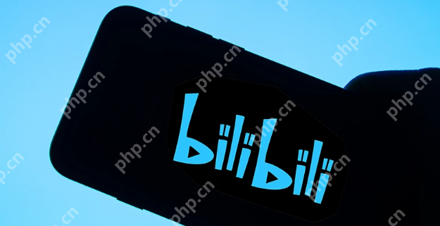 bilibili�ٷ����