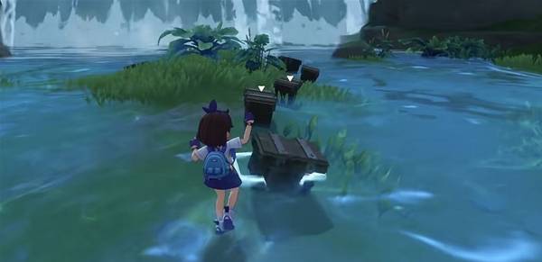 �����������6ֻ��������������ô���