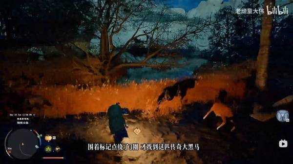 ��ɫɳĮ���������޿�����ô���