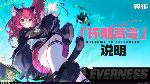 �컷����汾����������ʲô