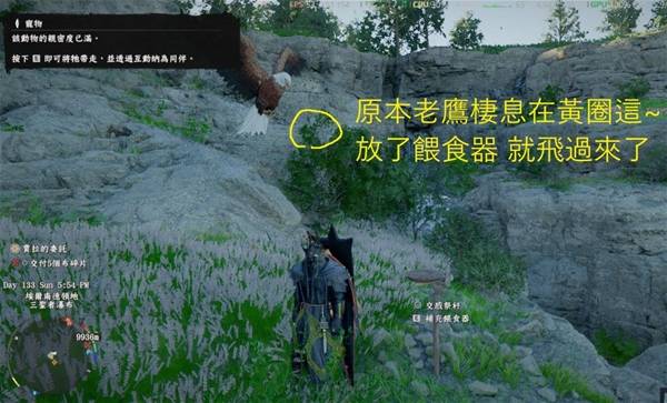 ��ɫɳĮ��ôץ��ӥ