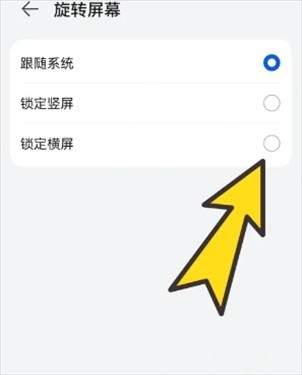 ���������ô��Ϊ����