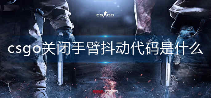 csgo关闭手臂抖动代码是什么-关闭手臂抖动代码分享 csgo关闭手臂抖动代码是什么-关闭手臂抖动代码分享