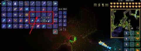 ̩�������¹����ô��-�¹����ֲ����