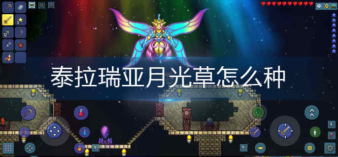 ̩�������¹����ô��-�¹����ֲ����