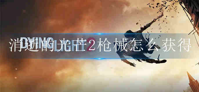 ���ŵĹ�â2ǹе��ô���