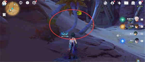 ԭ����ľ��ô���ٲɼ�-��ľ���ٲɼ�����