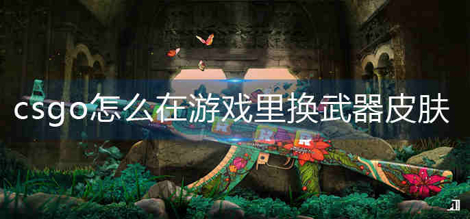 csgo��ô����Ϸ�ﻻ����Ƥ��-��Ϸ������Ƥ����������