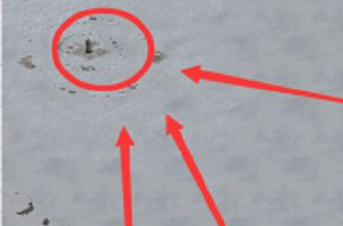 �������䵶׷�����깥��