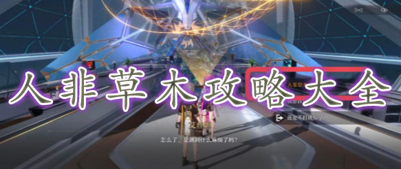 ��������������˷ǲ�ľ������