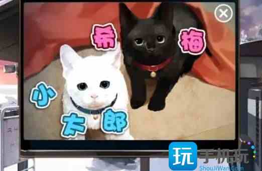 ʧ���յ�վ2�����¹��� ������ͼ��ͨ������