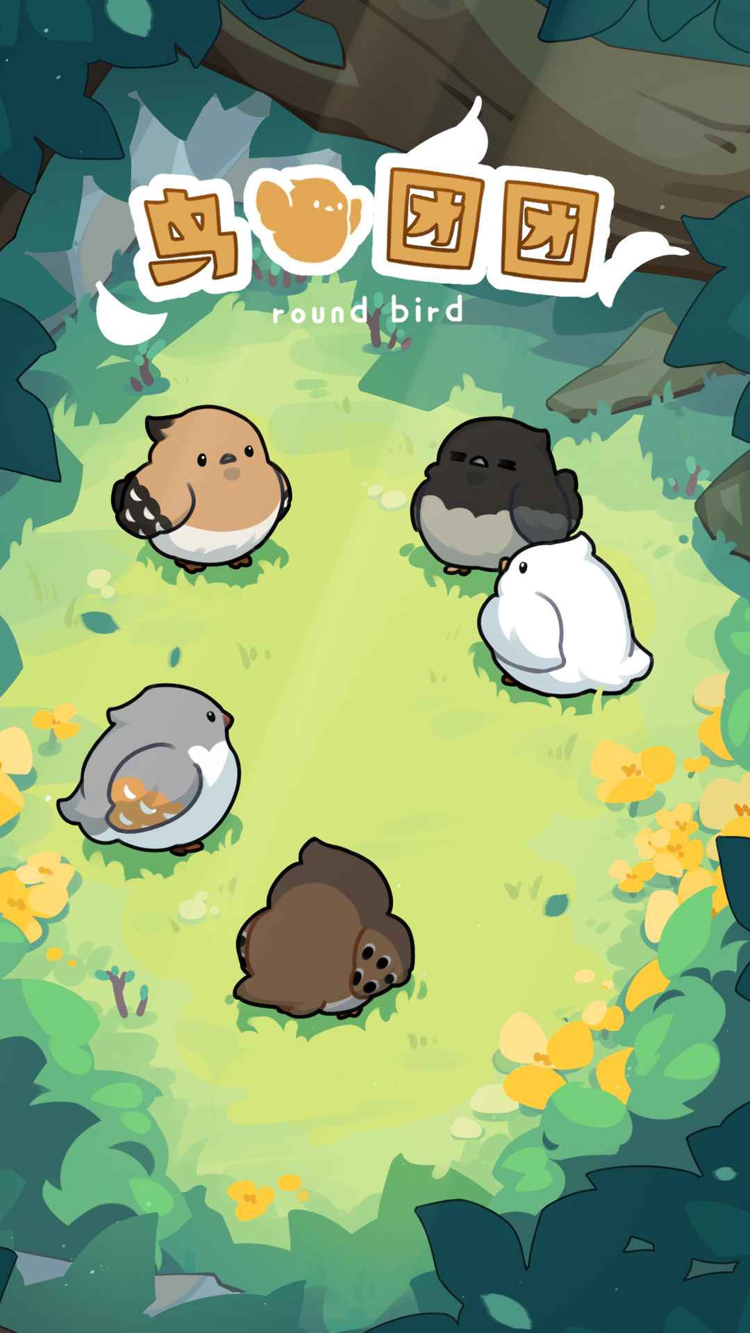 鸟鸟团团游戏安卓版图片1