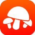 菌窝子蘑菇识别扫一扫软件最新手机版