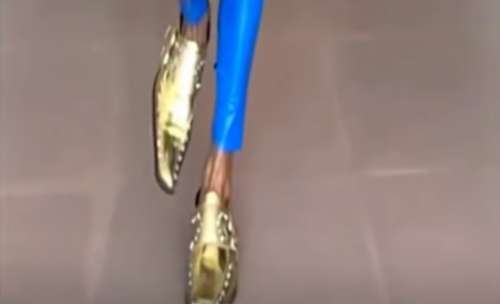 ������ɫ�����ж�����ʲô��