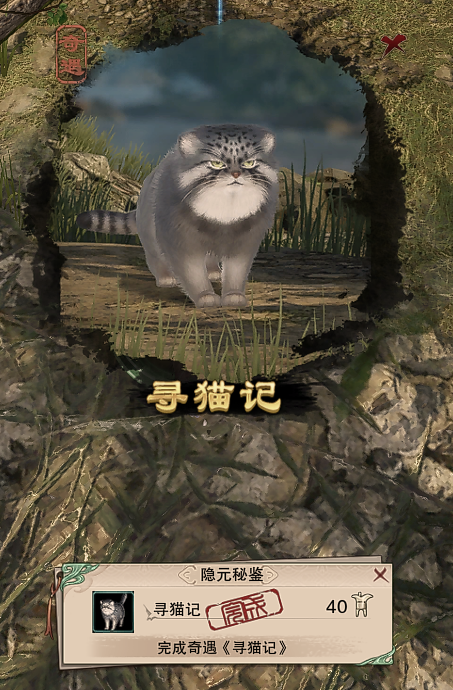 ����3Ѱè����������