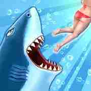 饥饿鲨进化变异