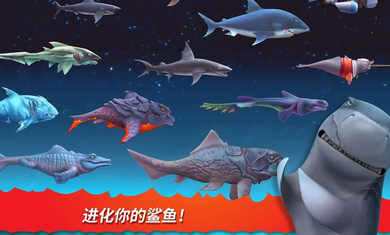 饥饿鲨进化国际服9.0.0