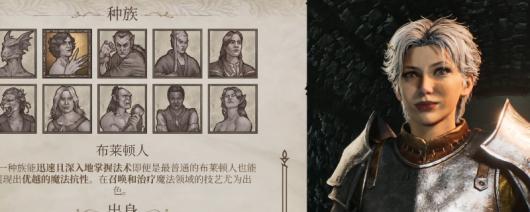 《上古卷轴4:湮灭重制版》开局种族选择推荐