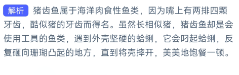 支付宝神奇海洋10月16日答案2023最新