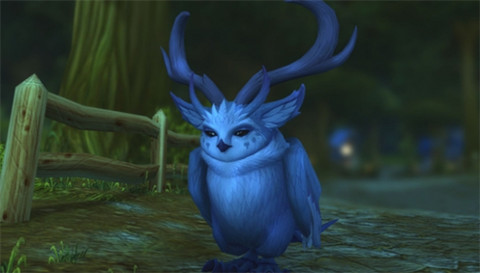 ħ�������ڹ��������ɭ�ּ���������ɹ���