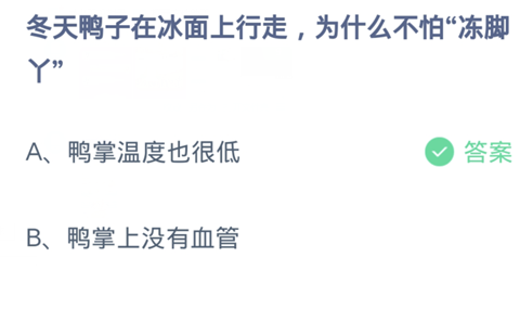 冬天鸭子在冰面上行走为什么不怕“冻脚丫”