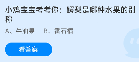 鳄梨是哪种水果的别称？