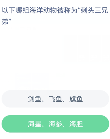 以下哪组海洋动物被称为“刺头三兄弟”？