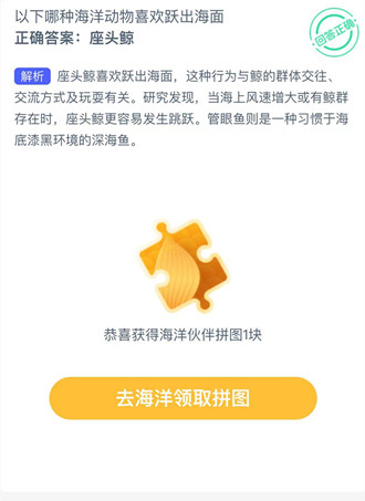 以下哪种海洋动物喜欢跃出海面？