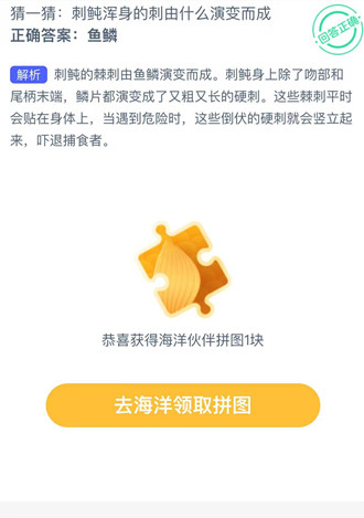 刺鲀浑身的刺由什么演变而成？