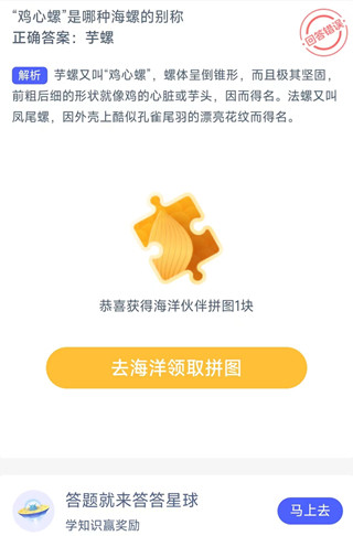 “鸡心螺”是哪种海螺的别称？