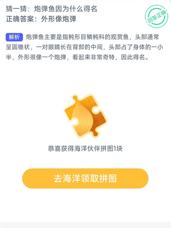 炮弹鱼因为什么得名？