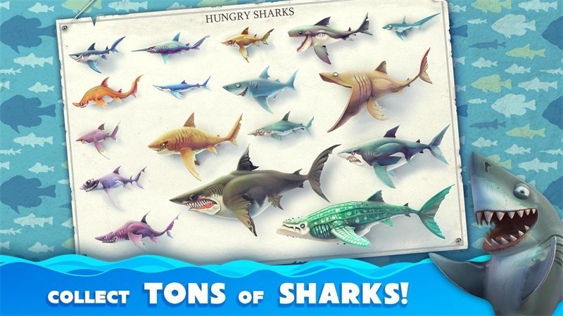 鲨鱼世界无限钻石无限金币版