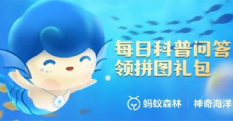 以下哪种海洋生物有“海蝴蝶”的美称？