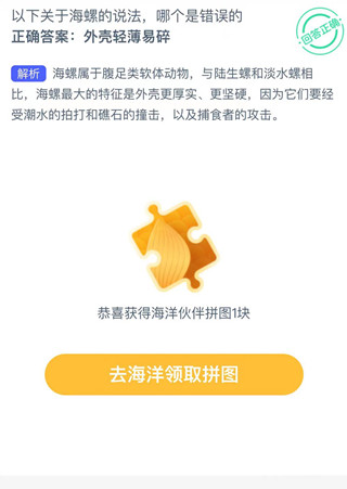 以下关于海螺的说法哪个是错误的？