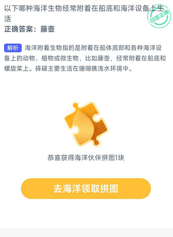 以下哪种海洋生物经常附着在船底和海洋设备上生活？