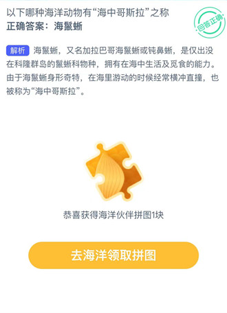 以下哪种海洋动物有“海中哥斯拉”之称？