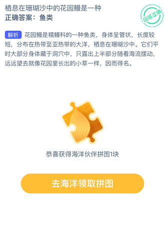 栖息在珊瑚沙中的花园鳗是—种?