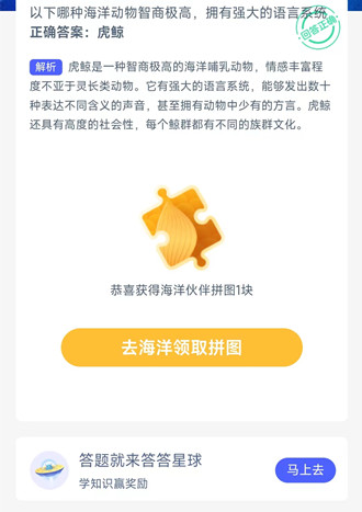 以下哪种海洋动物智商极高，拥有强大的语言系统？