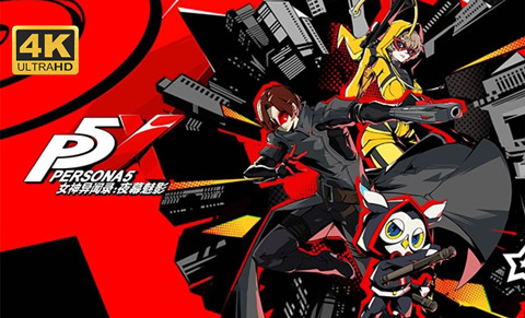 P5X���⸣����ȡ��������