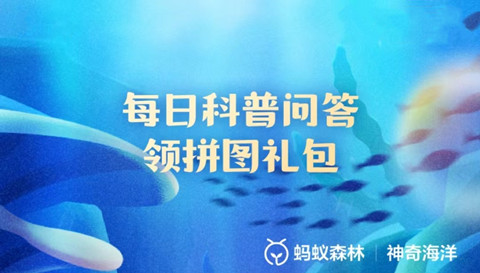 以下哪种海鸟是鸟类中的“潜水高手”？